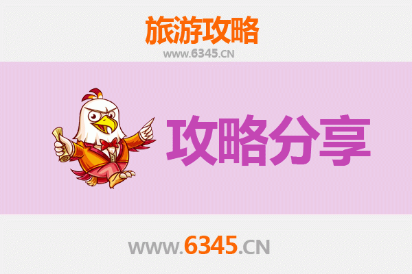 临沂河东至湄洲岛旅游攻略：跟团还是自由行深度解析